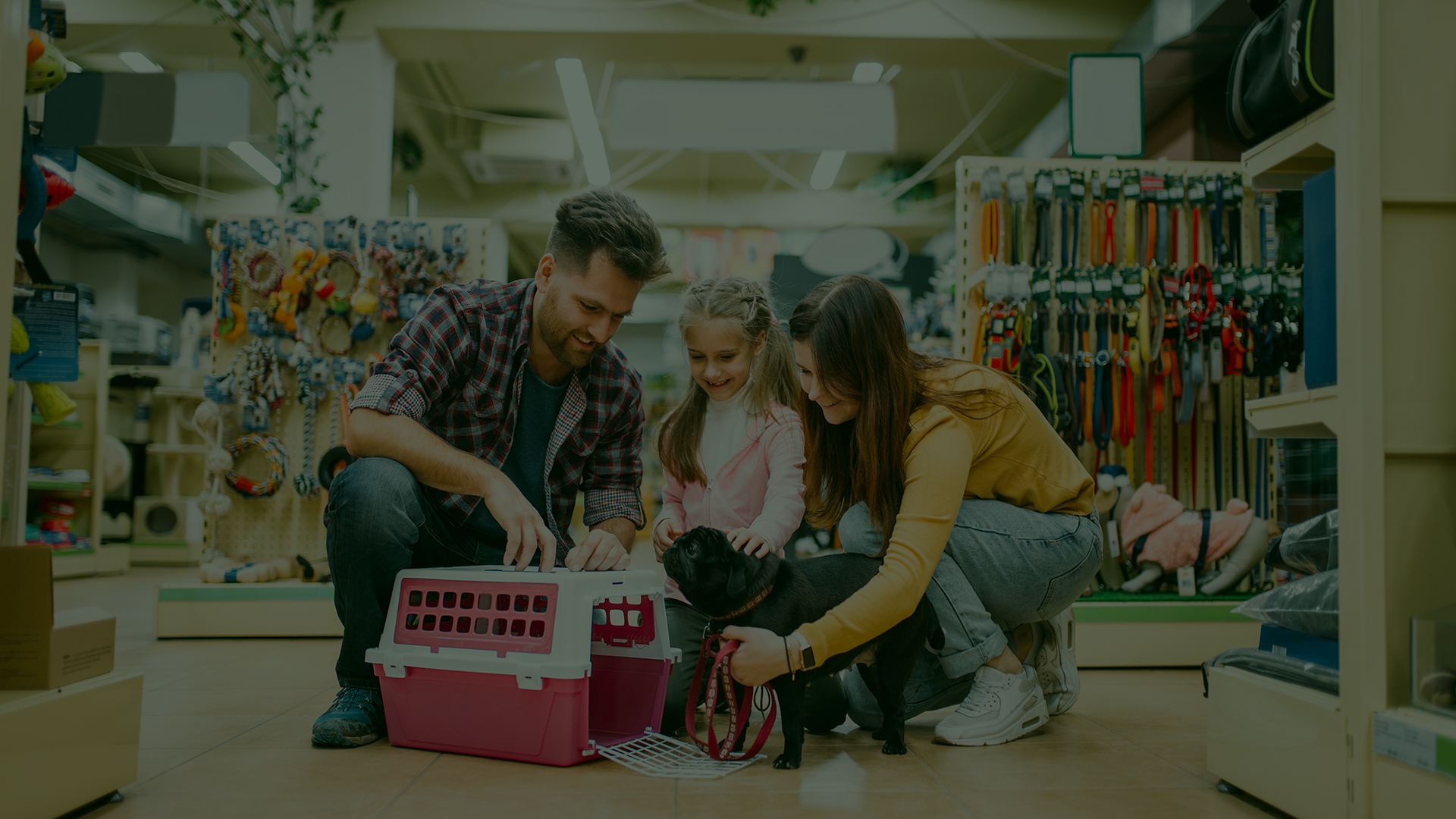 Contabilidade Para Pet Shops Em Uberlândia - Auster Inteligência Contábil