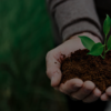 licenciamento ambiental