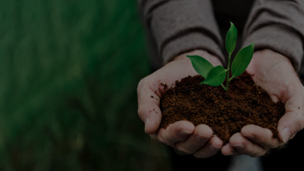 licenciamento ambiental